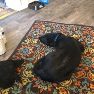 Meet your Posher, Nancy